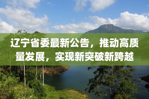 辽宁省委最新公告，推动高质量发展，实现新突破新跨越