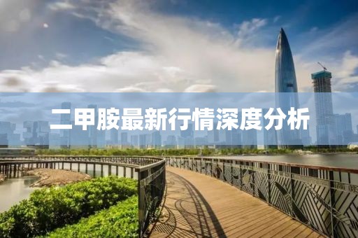 二甲胺最新行情深度分析