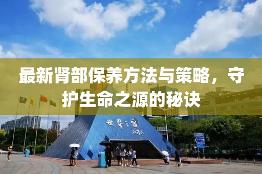最新肾部保养方法与策略，守护生命之源的秘诀