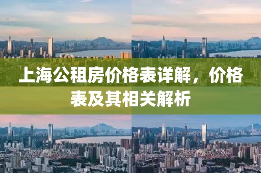 上海公租房价格表详解，价格表及其相关解析