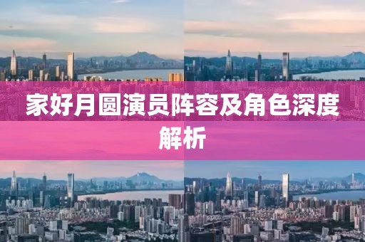 家好月圆演员阵容及角色深度解析