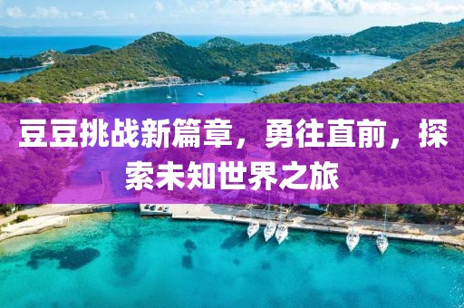豆豆挑战新篇章，勇往直前，探索未知世界之旅