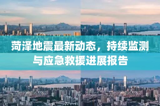 菏泽地震最新动态，持续监测与应急救援进展报告