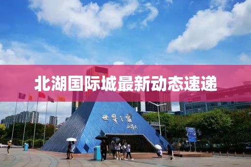 北湖国际城最新动态速递