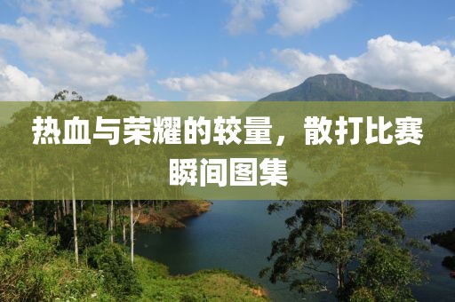 热血与荣耀的较量，散打比赛瞬间图集