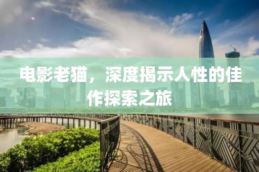 电影老猫，深度揭示人性的佳作探索之旅