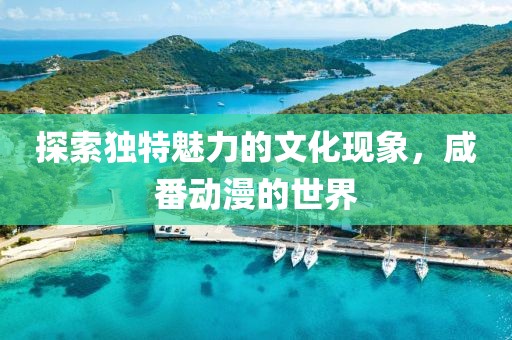 探索独特魅力的文化现象，咸番动漫的世界