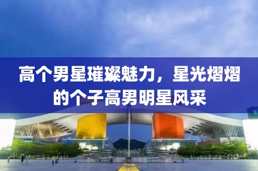 高个男星璀璨魅力，星光熠熠的个子高男明星风采