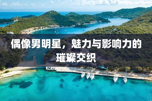 偶像男明星，魅力与影响力的璀璨交织