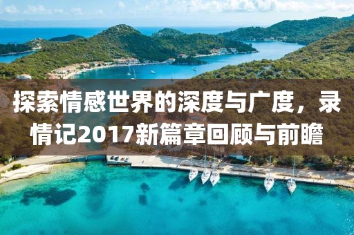 探索情感世界的深度与广度，录情记2017新篇章回顾与前瞻