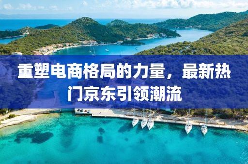 重塑电商格局的力量，最新热门京东引领潮流