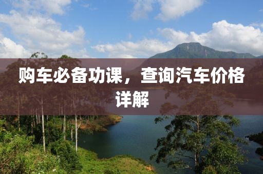 购车必备功课，查询汽车价格详解
