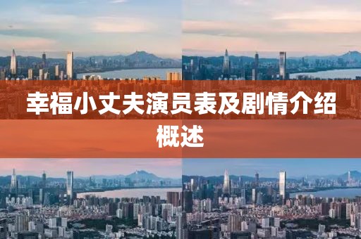 幸福小丈夫演员表及剧情介绍概述