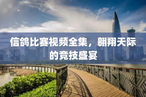 信鸽比赛视频全集，翱翔天际的竞技盛宴