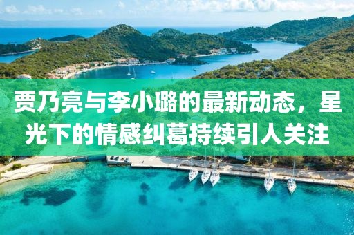 贾乃亮与李小璐的最新动态，星光下的情感纠葛持续引人关注