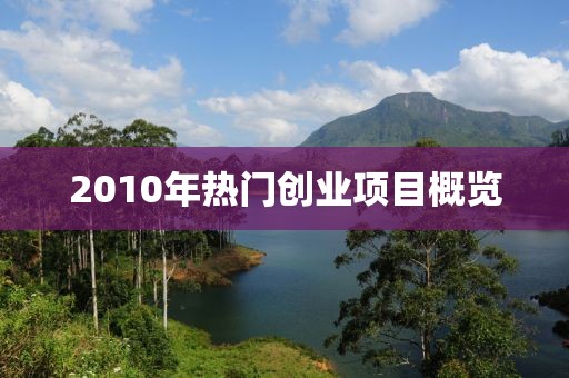 2010年热门创业项目概览