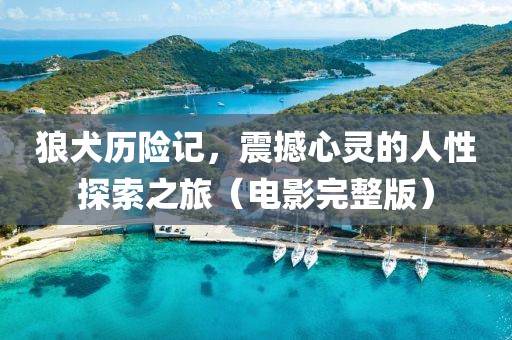狼犬历险记，震撼心灵的人性探索之旅（电影完整版）