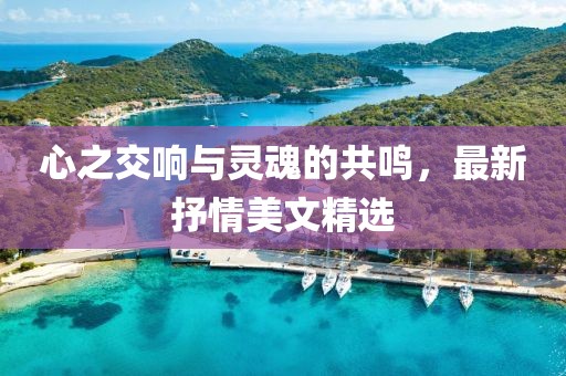 心之交响与灵魂的共鸣，最新抒情美文精选