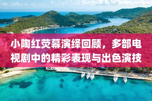 小陶红荧幕演绎回顾，多部电视剧中的精彩表现与出色演技
