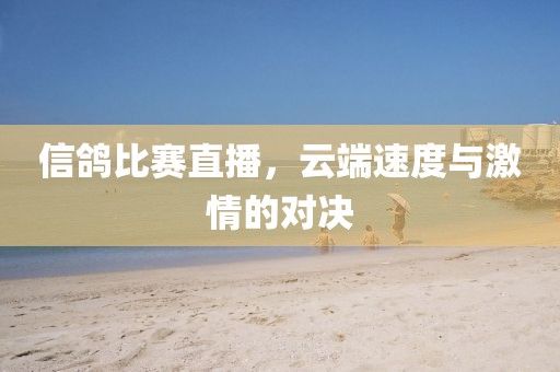 信鸽比赛直播，云端速度与激情的对决
