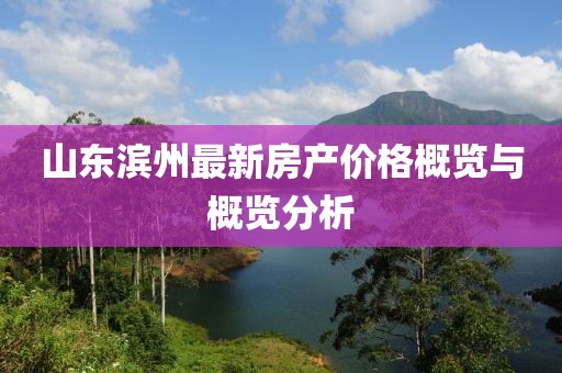 山东滨州最新房产价格概览与概览分析