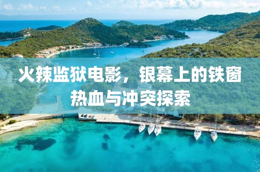 火辣监狱电影，银幕上的铁窗热血与冲突探索