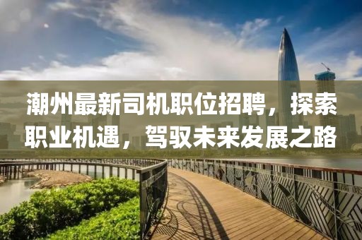 潮州最新司机职位招聘，探索职业机遇，驾驭未来发展之路