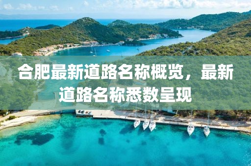 合肥最新道路名称概览，最新道路名称悉数呈现