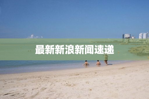 最新新浪新闻速递
