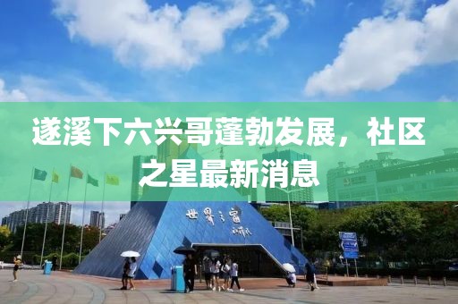 遂溪下六兴哥蓬勃发展，社区之星最新消息