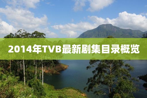 2014年TVB最新剧集目录概览