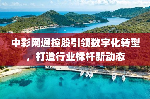 中彩网通控股引领数字化转型，打造行业标杆新动态