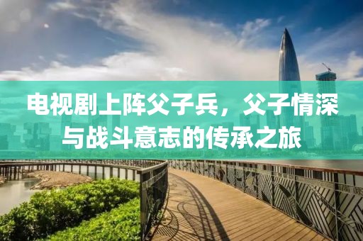 电视剧上阵父子兵，父子情深与战斗意志的传承之旅