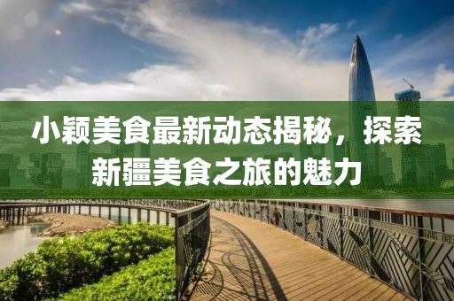 小颖美食最新动态揭秘，探索新疆美食之旅的魅力