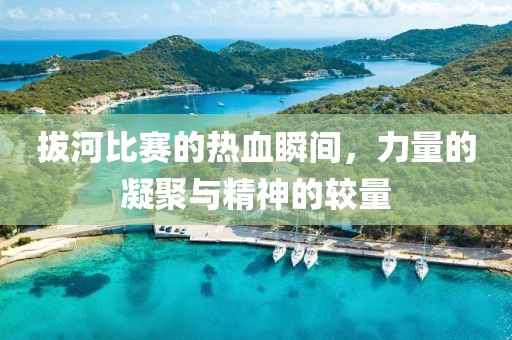 拔河比赛的热血瞬间，力量的凝聚与精神的较量
