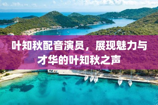 叶知秋配音演员，展现魅力与才华的叶知秋之声