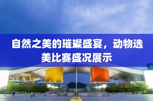 自然之美的璀璨盛宴，动物选美比赛盛况展示