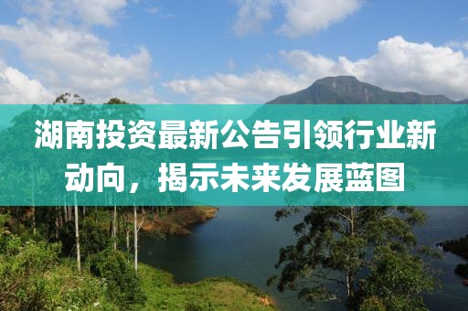 湖南投资最新公告引领行业新动向，揭示未来发展蓝图