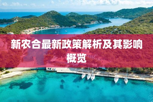 新农合最新政策解析及其影响概览