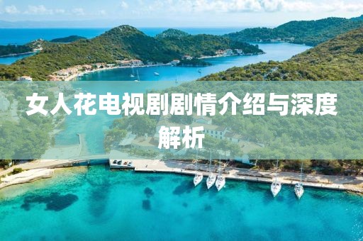 女人花电视剧剧情介绍与深度解析