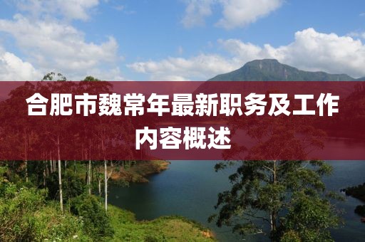 合肥市魏常年最新职务及工作内容概述