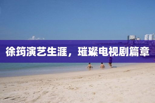 徐筠演艺生涯，璀璨电视剧篇章