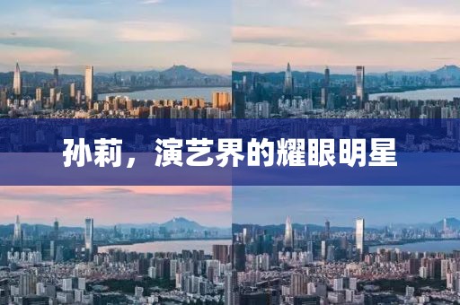 孙莉，演艺界的耀眼明星