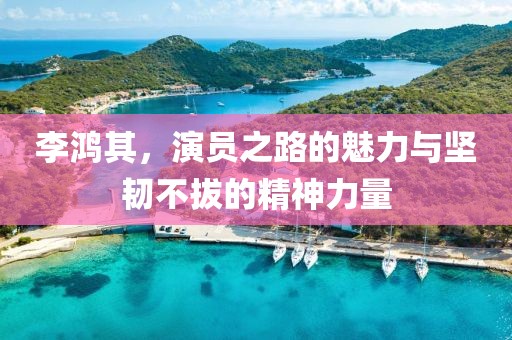 李鸿其，演员之路的魅力与坚韧不拔的精神力量