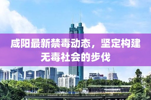 咸阳最新禁毒动态，坚定构建无毒社会的步伐