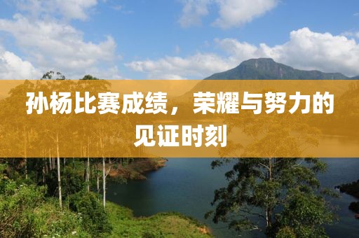 孙杨比赛成绩，荣耀与努力的见证时刻