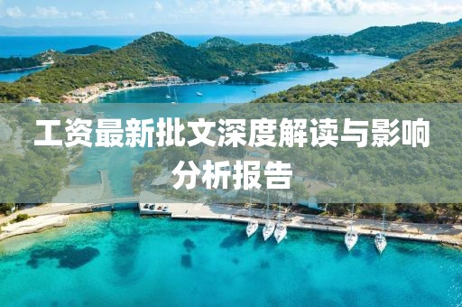 工资最新批文深度解读与影响分析报告