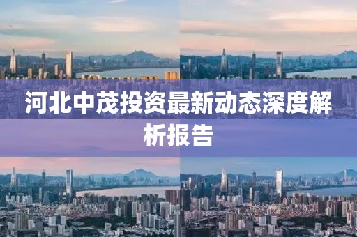 河北中茂投资最新动态深度解析报告