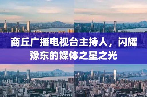 商丘广播电视台主持人，闪耀豫东的媒体之星之光