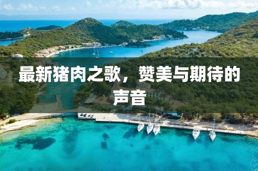 最新猪肉之歌，赞美与期待的声音